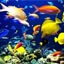 Lakes Aquarium